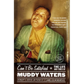 Can't Be Satisfied: The Life and Times of Muddy Waters