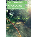 Bandhavgarh At a Glance