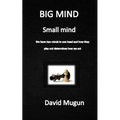 BIG MIND small mind: We have two minds in one head