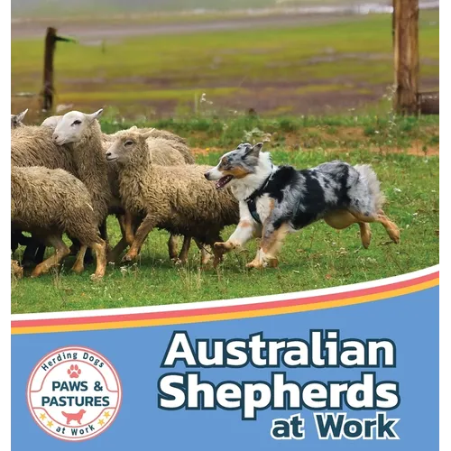 Australian Shepherds at Work