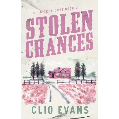 Stolen Chances: A Single Mom, MMF, Small Town Romance Suspense