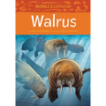 Animals Illustrated: Walrus