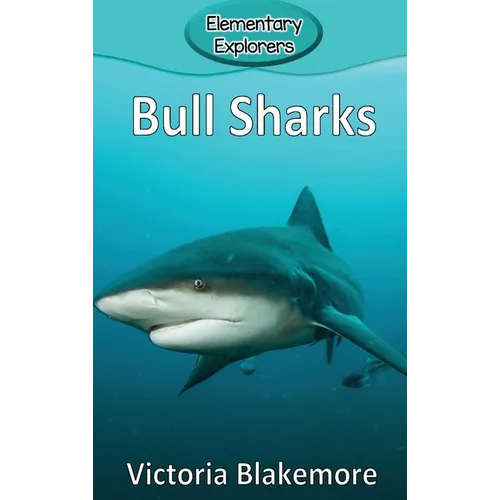 Bull Sharks