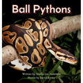 Ball Pythons