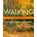 Walking