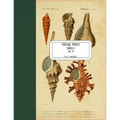 Vintage Prints: Shells: Vol. 9