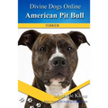 American Pit Bull Terriers