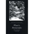 Plato's Parmenides: The Conversion of the Soul