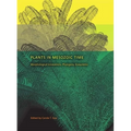 Plants in Mesozoic Time: Morphological Innovations, Phylogeny, Ecosystems