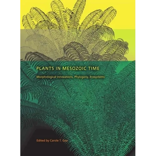 Plants in Mesozoic Time: Morphological Innovations, Phylogeny, Ecosystems