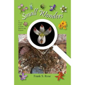 Small Wonders: A Closer Look at Some Hard-to-See Flowers
