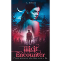 Illicit Encounter