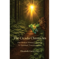 The Cicada Chronicles: One Broken Woman's Journey To Spiritual Transformation