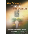 God's Voice Through the Despair: Introspective Poems to Inspire