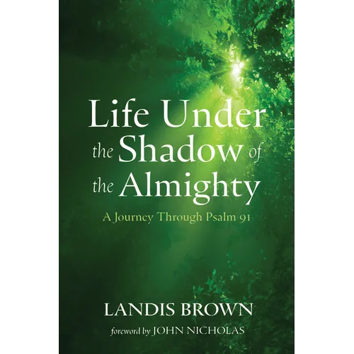 Life Under the Shadow of the Almighty: A Journey Through Psalm 91