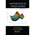 Mathematical Inequalities: A Perspective