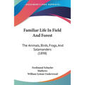 Familiar Life In Field And Forest: The Animals, Birds, Frogs, And Salamanders (1898)