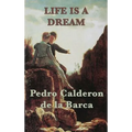 Life Is a Dream: A Philosophical Drama of Illusion, Fate, and Free Will