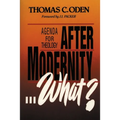 After Modernity . . . What?: Agenda for Theology