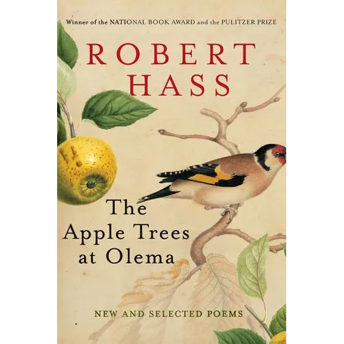 The Apple Trees at Olema