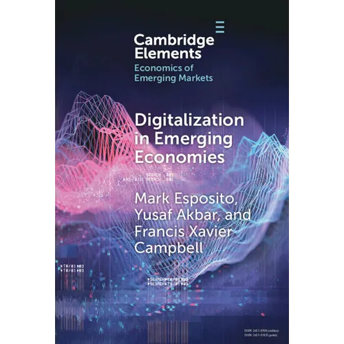 Digitalization in Emerging Economies