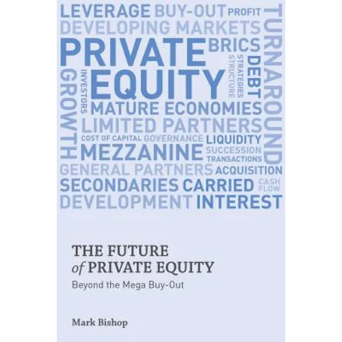 The Future of Private Equity: Beyond the Mega Buyout
