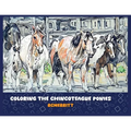 Coloring the Chincoteague Ponies