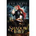 Shadow Thief