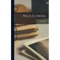 Wild Flowers