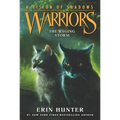 Warriors: A Vision of Shadows: The Raging Storm