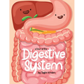 A Tour Of The Digestive System