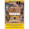 Igbo Mediators of Yahweh Culture of Life: Volume 1: Learn to Read Egyptian Hieroglyphs and UFO Writings
