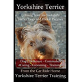 Yorkshire Terrier Training Book for Yorkshire Terrier Dogs and Yorkie Puppies By D!G THIS Dog Obedience - Commands - Caring - Grooming - Training: Fro