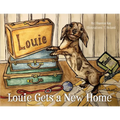 Louie Gets a New Home