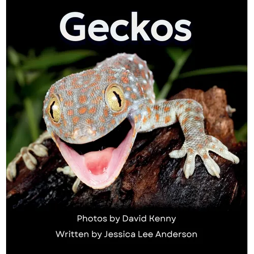 Geckos: Get to Know More About These Vocal Lizards!