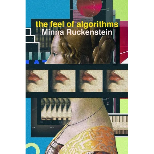 The Feel of Algorithms